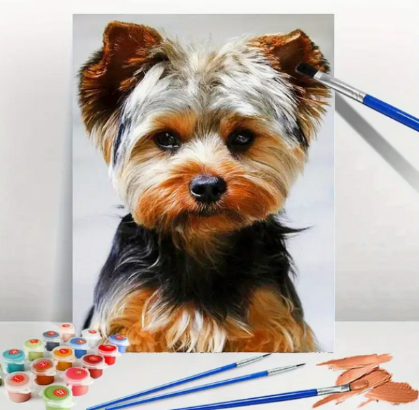 Malen nach Zahlen Yorkshire Terrier